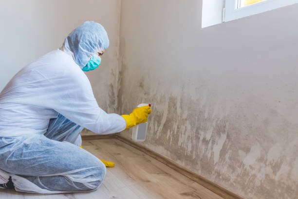 Mold Remediation specialist working in Trappe